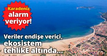 Veriler endişe verici, ekosistem tehlike altında…