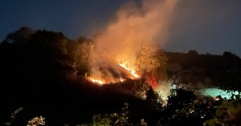 Kocaeli’de anız yangını: Köpek dumanların arasından kurtarıldı