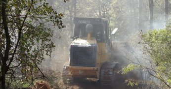 Kocaeli’de çıkan orman yangını söndürüldü