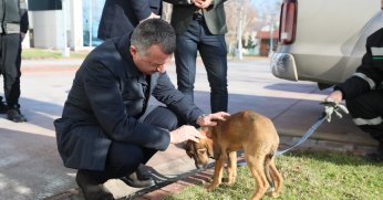 ”Hiçbir canlıyı incitmeyelim”