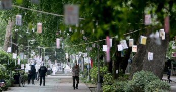 Cumhuriyet Bulvarı'nda ağaçlar kitap açacak