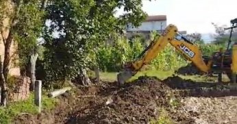 Armut çürük çıktı