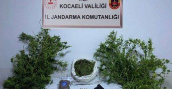 Kocaeli'de 3 ikamete uyuşturucu operasyonu