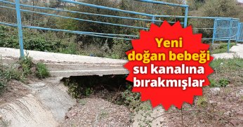 Yeni doğan bebeği su kanalına bırakmışlar