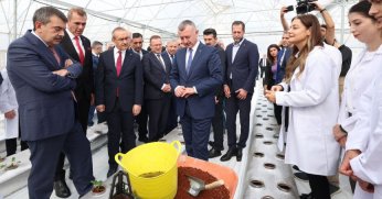 Kocaeli’de öğrenciler topraksız tarım Ar-Ge serasında çilek yetiştiriyor