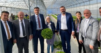 Türkiye'de ilk olan sistemde hasat şenliği