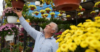 Sonbaharın en çok tercih edilen çiçekleri kasımpatı ve sıklamen oldu