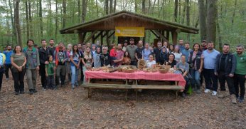 Ormanya’da mantar avı düzenlendi 
