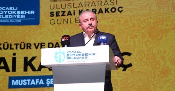 Mustafa Şentop: 