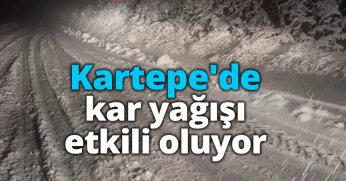 Kartepe'de kar yağışı etkili oluyor