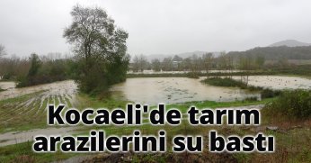 Kocaeli'de tarım arazilerini su bastı