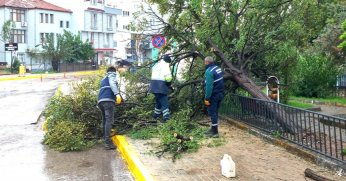 Derince´de Kar ve Fırtınayla Etkin Mücadele
