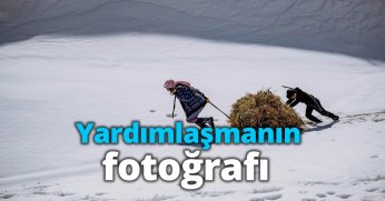 Yardımlaşmanın fotoğrafı