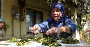 “Kocaeli Mutfağı” TRT Belgesel ekranlarında