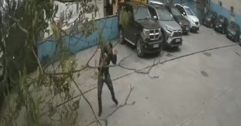 Devrilen ağacın altında kalmaktan son anda kurtuldu, o anlar kameraya yansıdı