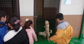 Minikler Can Dostlarıyla Vakit Geçirdi