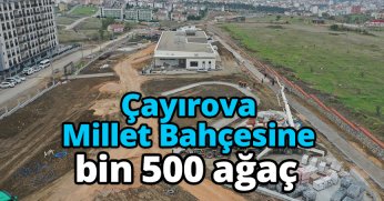 Çayırova Millet Bahçesine bin 500 ağaç