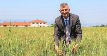 GÖLCÜK BELEDİYESİ SOSYAL HİZMET TARLASINDA BU KEZ YEM BİTKİSİ YETİŞECEK