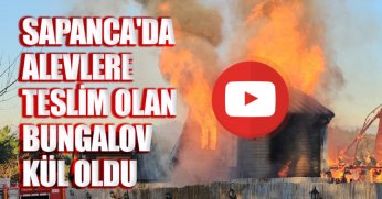 SAPANCA'DA ALEVLERE TESLİM OLAN BUNGALOV KÜL OLDU