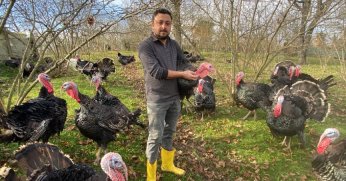 Bu hindiler çok meşhur