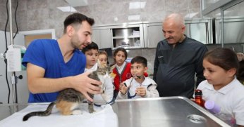 Gebze'de 10 bin 939 yaralı ve hasta hayvanın tedavisi yapıldı