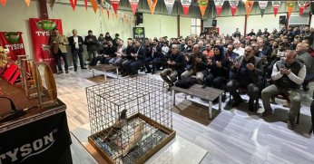 EN İYİ OYUN KUŞLARI HÜNERLERİNİ GÖLCÜK'TE SERGİLEDİ