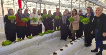 Topraksız tarım projesine kadın çiftçilerden yoğun ilgi