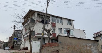 Beton elektrik direğini ağaç ayakta tutuyor