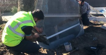 Büyükşehir’den 100 yıllık çınara tedavi