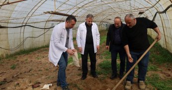 Büyükşehir’den örtü altı üreticiye destek