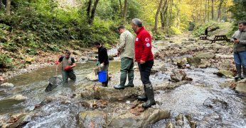 Büyükşehir’den dere ve tatlı sulara balık