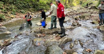 Dere ve tatlı sulara balık salınacak