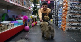 Kaçırılıp 500 TL'ye satıldı, yavrularına kavuştu