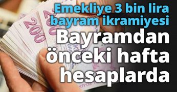 Emekliye 3 bin lira bayram ikramiyesi Resmi Gazete'de