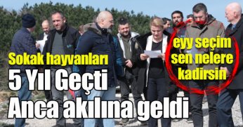 Ey Seçim Sen Nelere Kadirsin