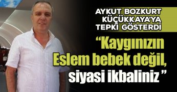 Bozkurt: 