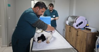 Hayvanlara umut olan merkez