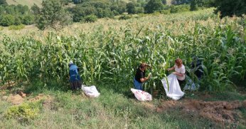 Büyükşehir, atıl arazileri tarıma kazandırıyor