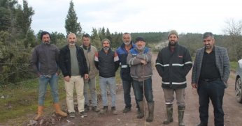 Köylere hırsız dadandı, besiciler diken üstünde