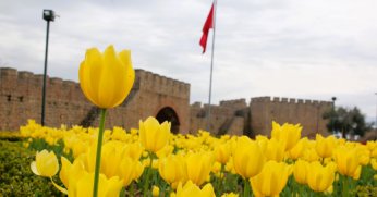 Hereke Kalesi’nde lale şöleni