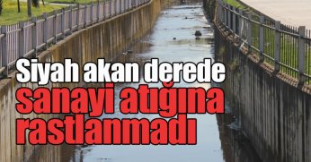 Siyah akan derede sanayi atığına rastlanmadı