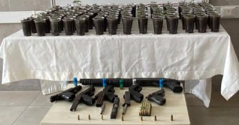 Evde yapılan operasyonda 580 kök kenevir bitkisi ele geçirildi