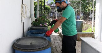 Sivrisinekler durgun sularda ürer