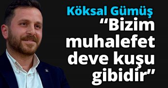 Gümüş: “Bizim muhalefet deve kuşu gibidir”