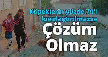 Köpeklerin yüzde 70'i kısırlaştırılmazsa çözüm olmaz