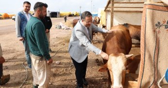 Başkan Gökçe, Kurban Pazarı’nı Gezdi