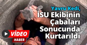 Yavru Kedi, İSU Ekibinin Çabaları Sonucunda Kurtarıldı