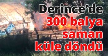Derince'de 300 balya saman küle döndü