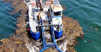 Büyükşehir, deniz ekosistemini koruyor