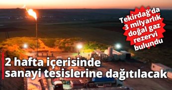 Çıkarılan doğal gaz, 2 hafta içerisinde sanayi tesislerine dağıtılacak